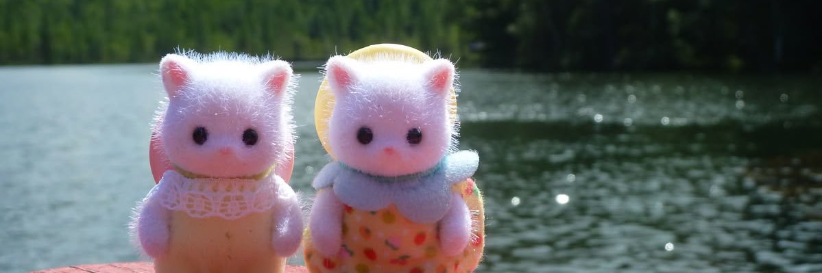 owl ౨ৎ ˖ ࣪⊹ banner