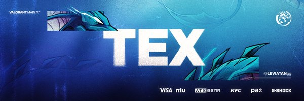 texerino Profile Banner