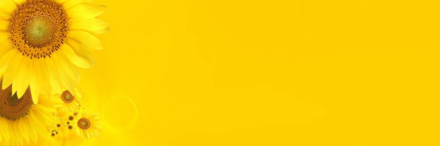 Spices banner