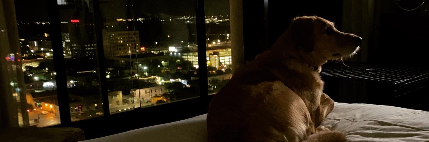sierrarobbb's profile banner image