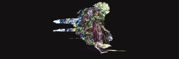 yohamdani Profile Banner