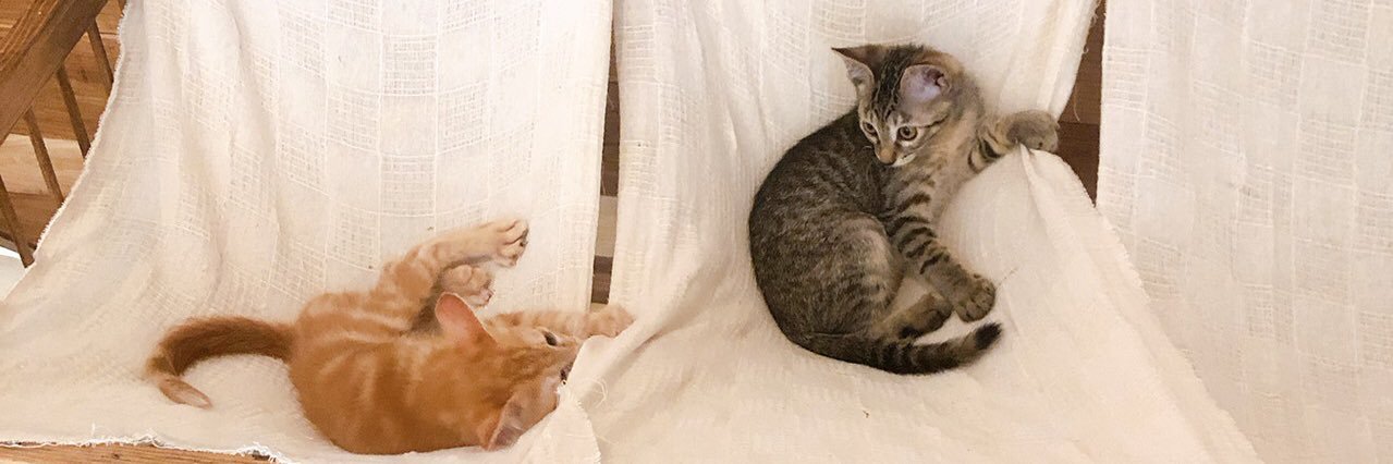 小林 ゆう｜デザイナー banner