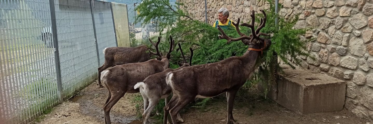 Gianfranco Biancotti banner