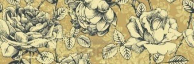 Megan Tysiak banner
