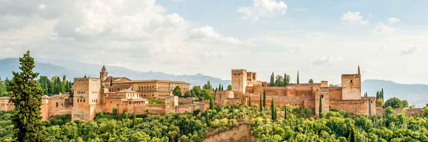 Maysoun Douas banner