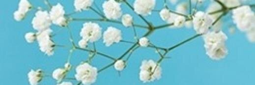 Sanj S.S banner