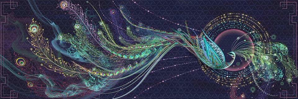 catreeena's profile banner image