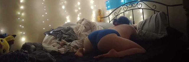 untrained_pup's profile banner image