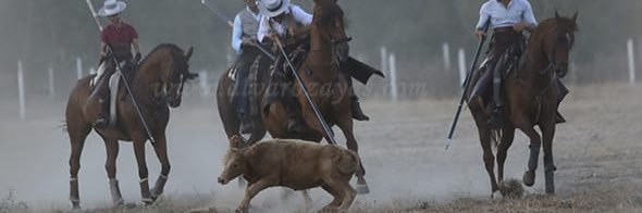 beja_73's profile banner image
