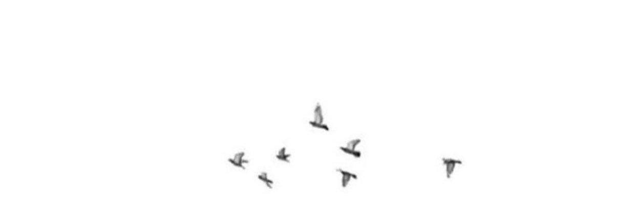 مـلاك banner