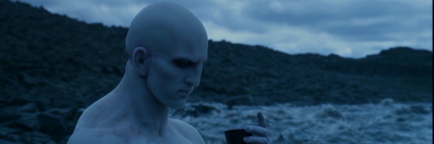 NessimerielV's profile banner image