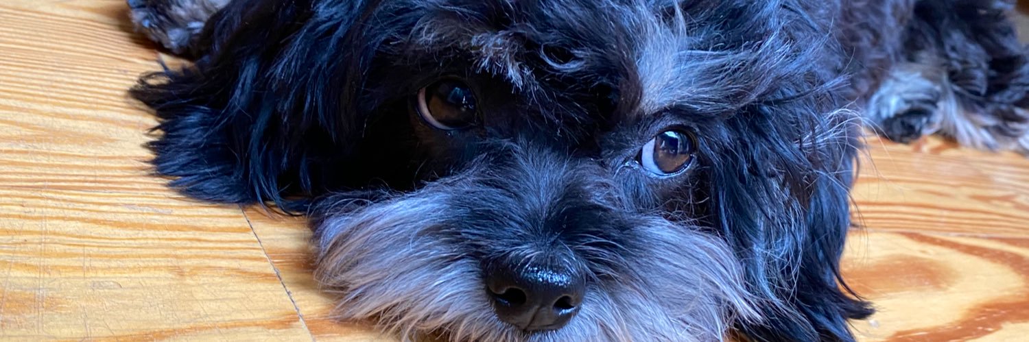 Mariinaqueveedo's profile banner image