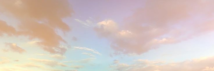 siewwenkee's profile banner image