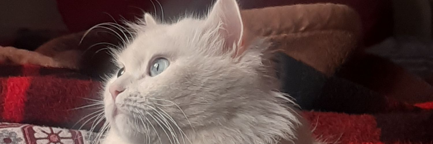 To_do55's profile banner image