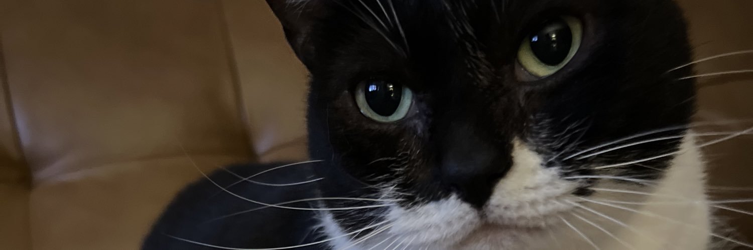 SydneyMain's profile banner image