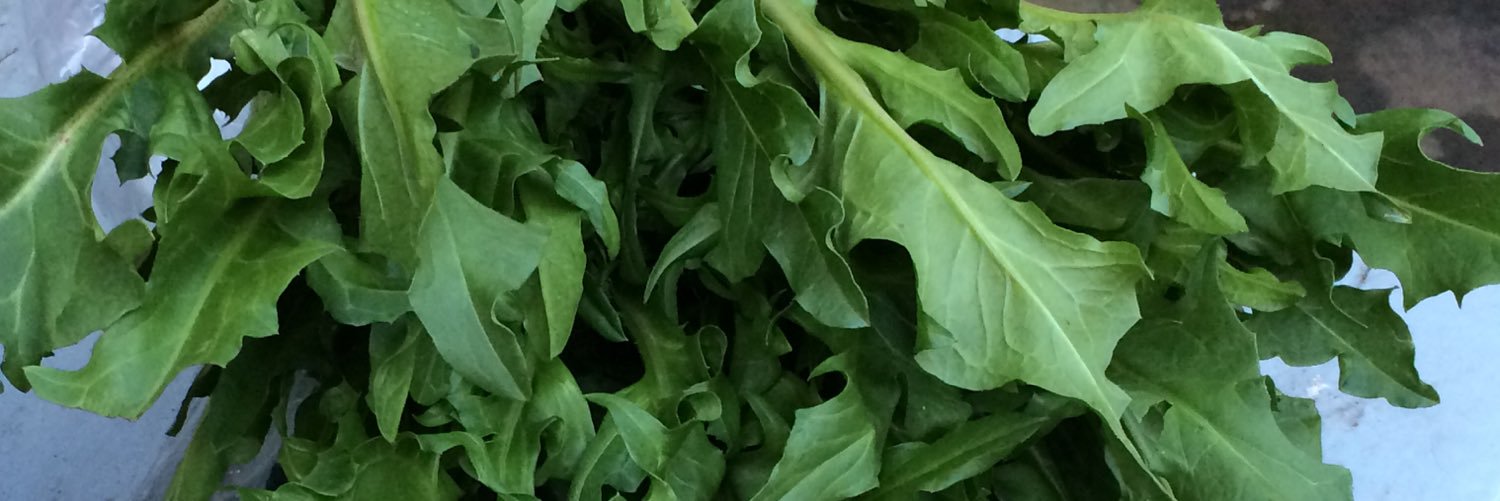 Grow Liverpool banner