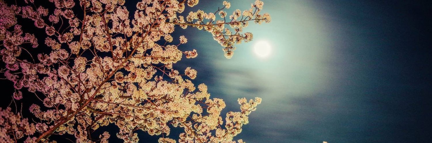 LuckWmoon's profile banner image