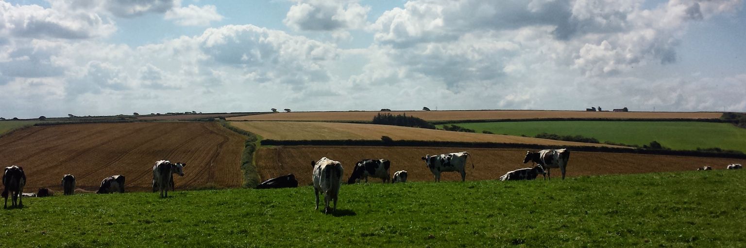 Farming UK. .... banner