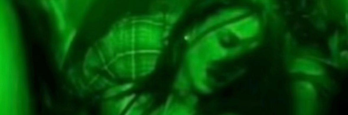 alysha banner