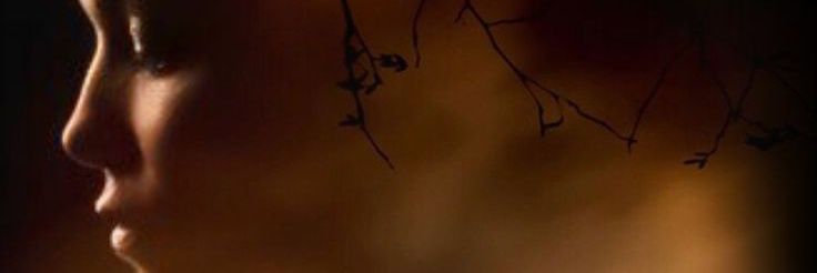 nyuk_ken's profile banner image