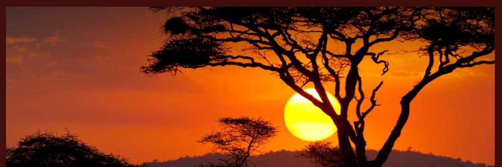 GIMBE™ 🇰🇪 banner