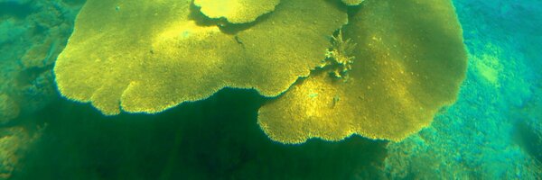 b_dimitri Profile Banner