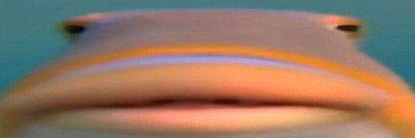 ArumBash Profile Banner