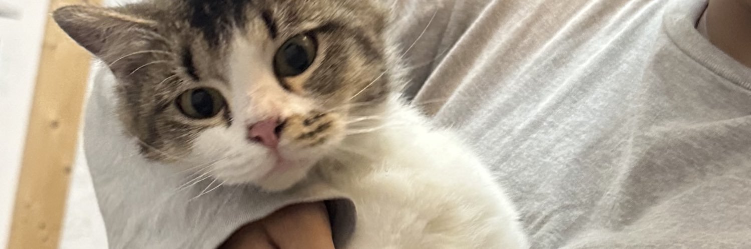 Dua Paw banner
