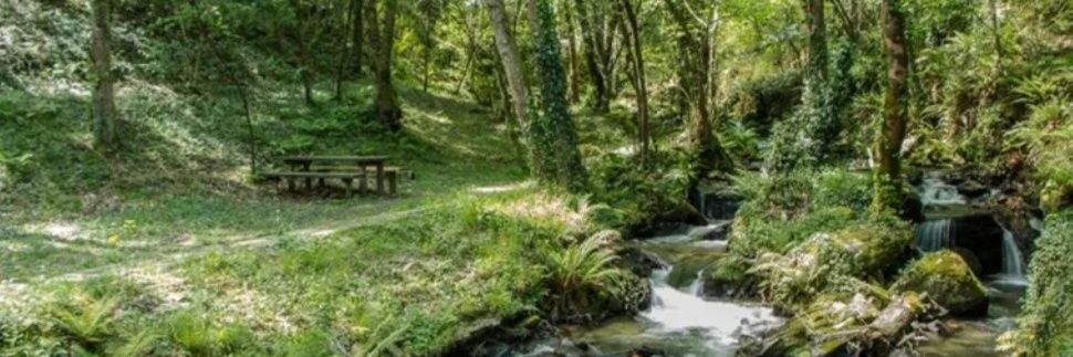 DruidaAstur's profile banner image