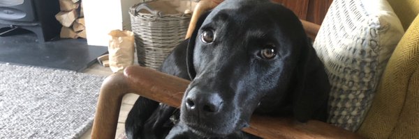 jamiebglover Profile Banner