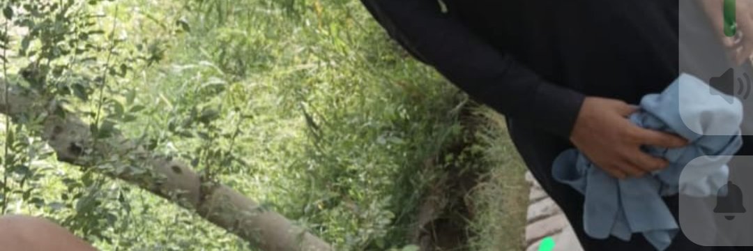 HollyLinacre1's profile banner image