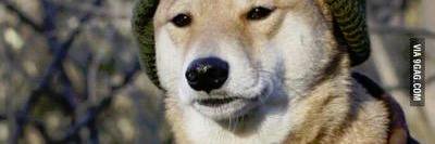 precipitation banner