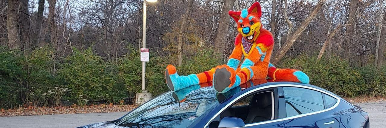 mystDingo's profile banner image