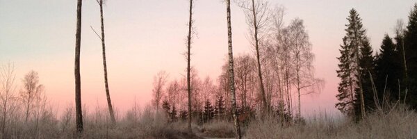 bphurley4 Profile Banner