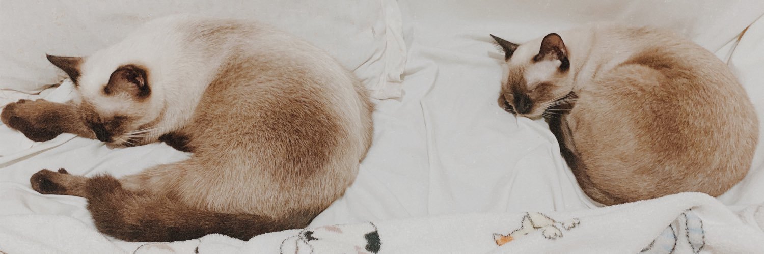 🐈 HAM 🐈‍⬛ banner