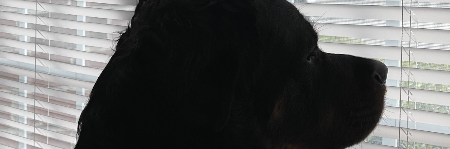 vnicia's profile banner image