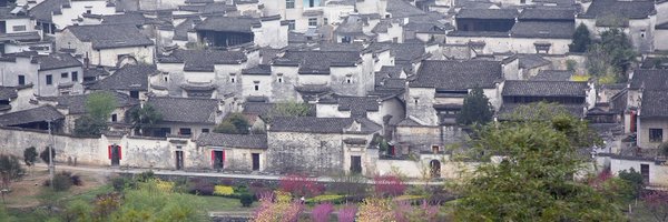 shichenTX Profile Banner