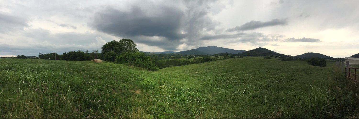 Donna Shuler Truoccolo 🐀 banner