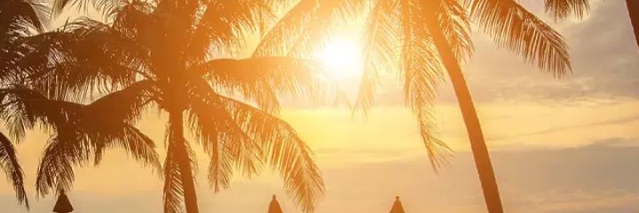 drdwip's profile banner image