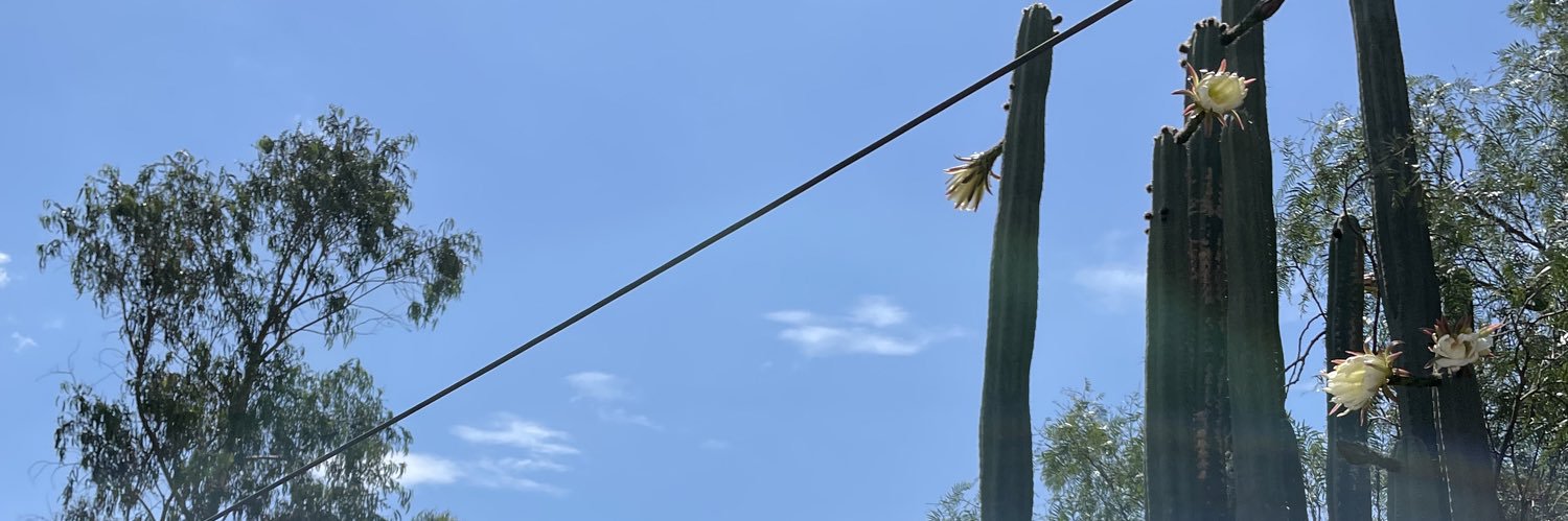 RaúlMiderosMorales's banner