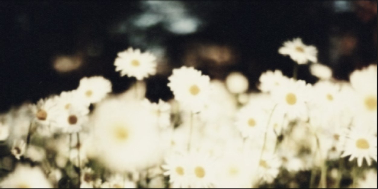 KELLiiExMAYx3's profile banner image