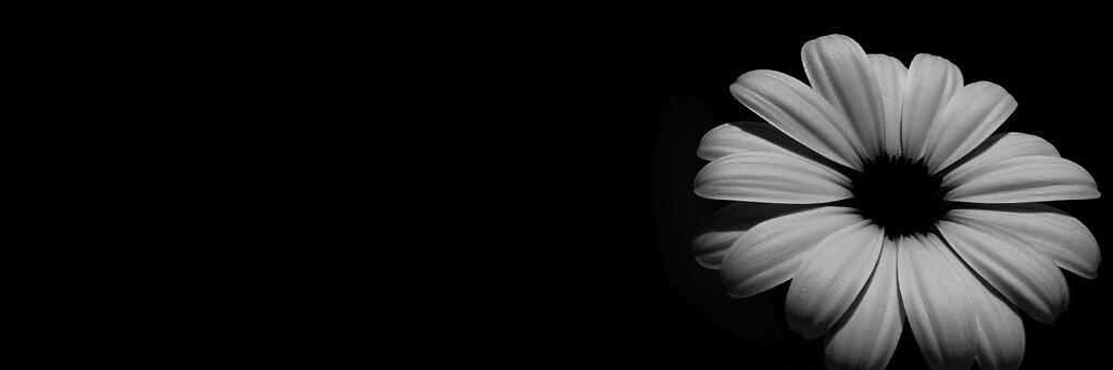 EljuriDesi's profile banner image