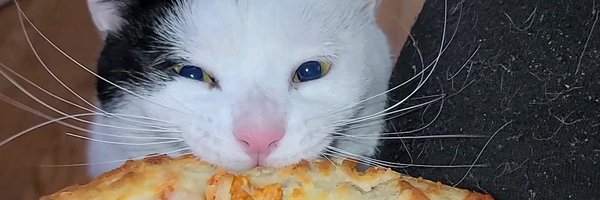 MozzyTheDragon Profile Banner
