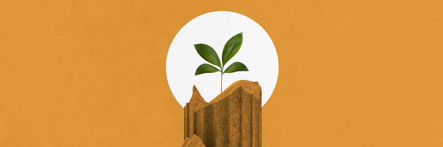 Simon P. Kennedy banner