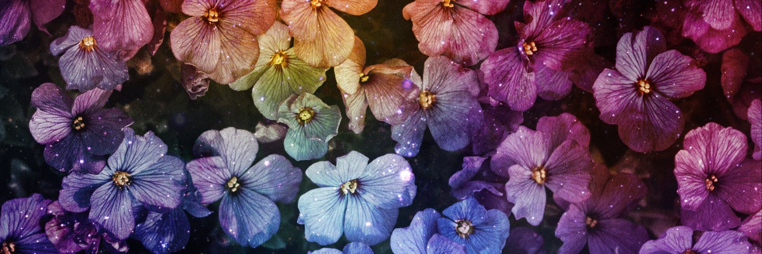 LiliSeeds's profile banner image