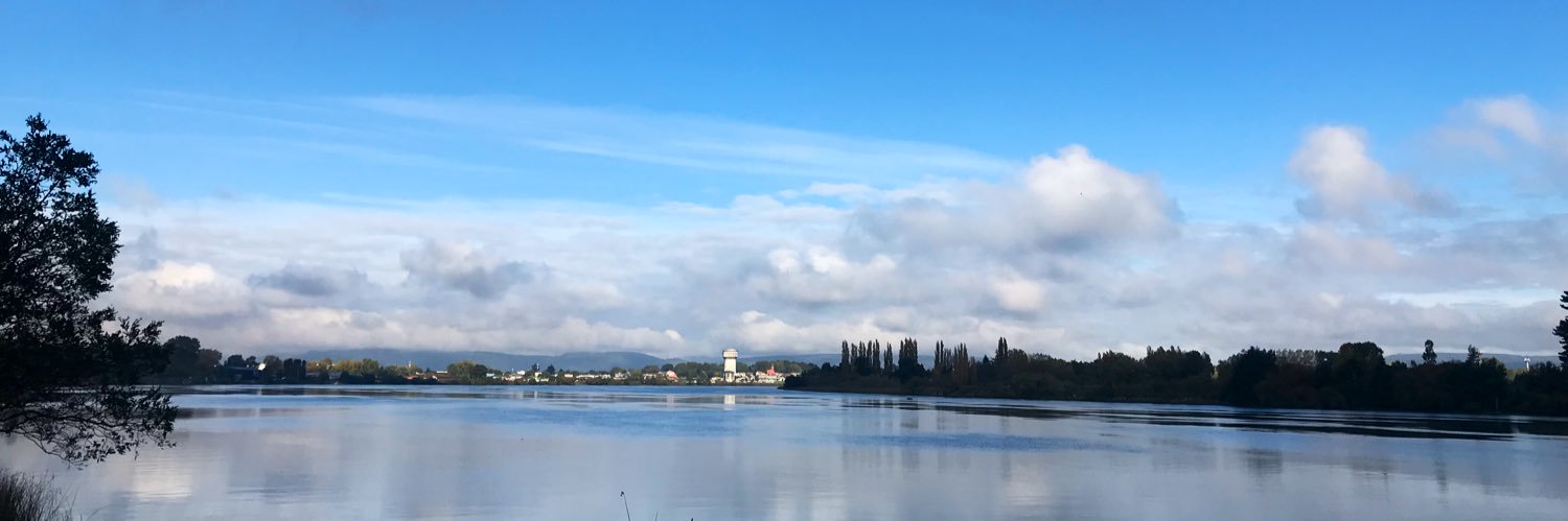 hbachmannr's profile banner image