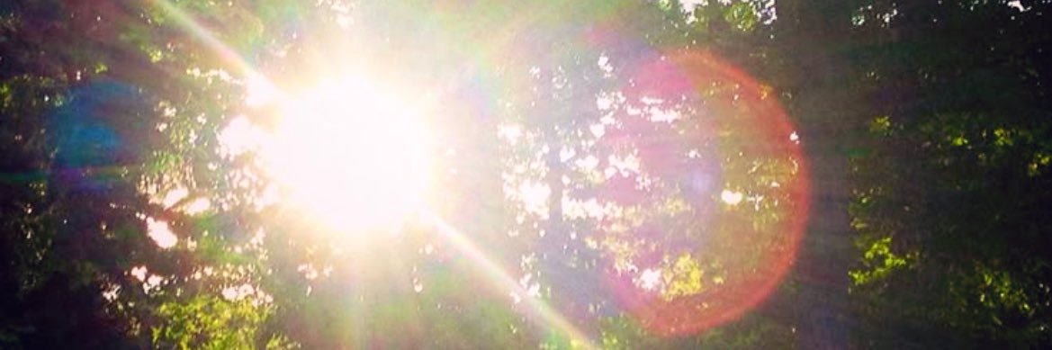cat ᶻ⋰.⋮⋱. ⋰. banner