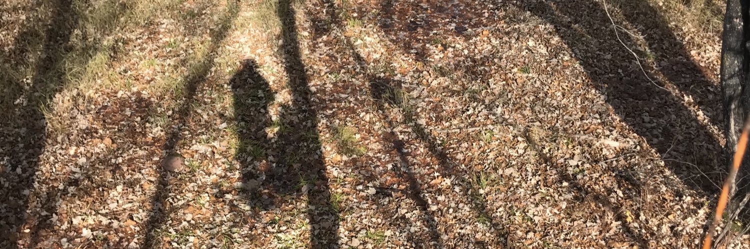 CripsySkrimps banner