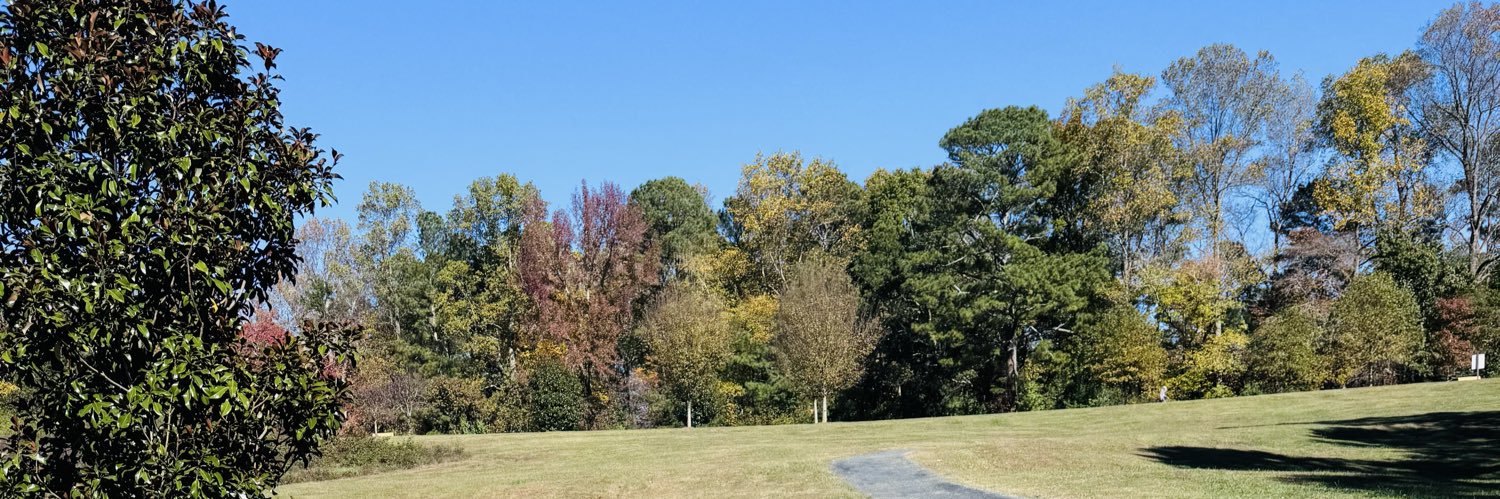 Erica DeVasier banner