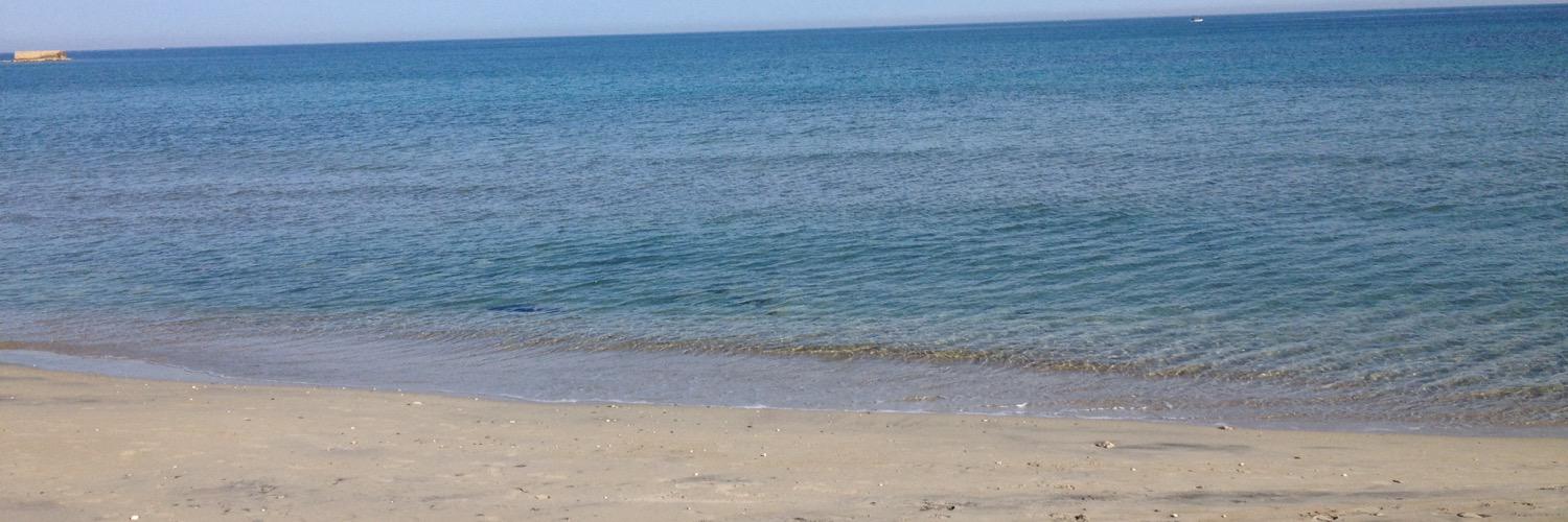 ale_giux's profile banner image